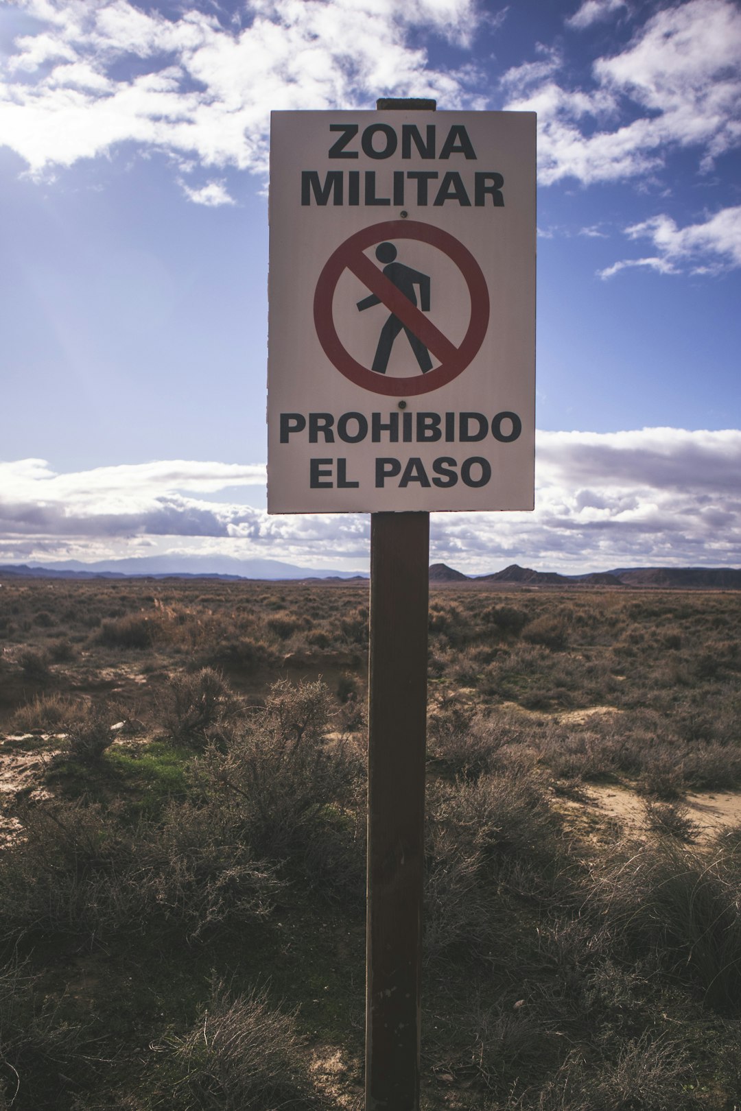 Will Tel Aviv expand public transport on Shabbat in 2026?